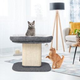 Costway 2-Tier Cat Tree For Indoor Cats Cat Tower Cat Bed W/ Scratching Post - thumbnail 3