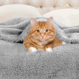 Ameha Fleece Plain Blanket, Lightweight & Reversible Throw For Travel, Bed & Sofa Blanket, Silver Super King 230X270Cm - thumbnail 4