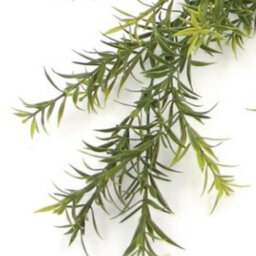 Leaf Hanging Uv And Fire Resistant Artificial Spider Fern Plant 78Cm - thumbnail 3