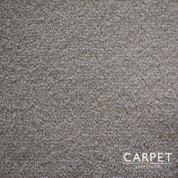 Carpet Shop Online Charm Grey Beige Twist Carpet 2.25M X 4M - thumbnail 1