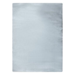 RugsX Modern Carpet Teddy New Dream 47 Shaggy, Plush, Very Thick Silver  60X100 Cm - thumbnail 2