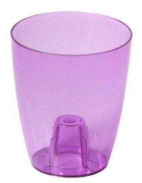 B2C Plant Orchid Pot Plastic 3 Colours Gloss Oval Planter Transparent Clear 13 Cm Purple