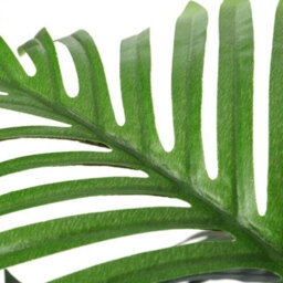 Living And Home Artificial Plant Artificial Tree Fake Palm Tree House Plant Indoor Outdoor Decorative In Black Plastic Pot H 100 Cm - thumbnail 6