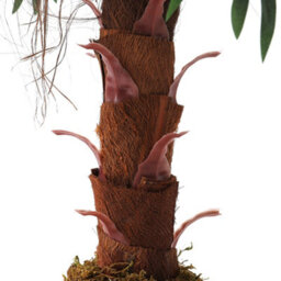 Living And Home Artificial Plant Artificial Tree Fake Palm Tree House Plant Indoor Outdoor Decorative In Black Plastic Pot H 100 Cm - thumbnail 7