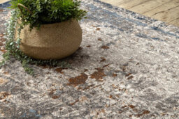 RugsX Carpet Wool Nain Ornament Vintage 7700/51622 Beige / Navy / Terracotta  240X340 Cm - thumbnail 5