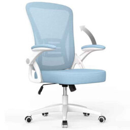 Blue Ergonomic Office Chair With Flip-Up Armrests & Lumbar Support - thumbnail 1