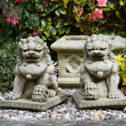 Burgess Pair Of Foo Dog Stone Statues Oriental Lion Outdoor Garden Ornament Buddha Sculpture - thumbnail 2