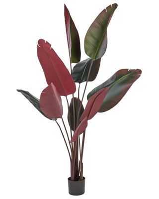 Beliani 170 Cm Artificial Banana Tree Green And Black, Cement Base, Indoor Decor - image 1