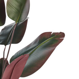 Beliani 170 Cm Artificial Banana Tree Green And Black, Cement Base, Indoor Decor - thumbnail 3