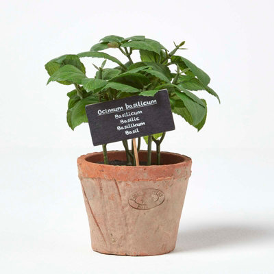 Homescapes Artificial Green Handcrafted Basil Plant In Decorative Pot, 18 X 15 Cm - image 1