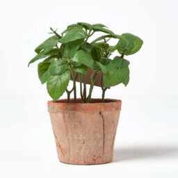 Homescapes Artificial Green Handcrafted Basil Plant In Decorative Pot, 18 X 15 Cm - thumbnail 4