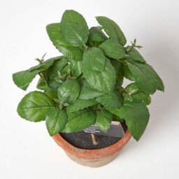 Homescapes Artificial Green Handcrafted Basil Plant In Decorative Pot, 18 X 15 Cm - thumbnail 2
