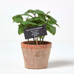 Homescapes Artificial Green Handcrafted Basil Plant In Decorative Pot, 18 X 15 Cm - thumbnail 1