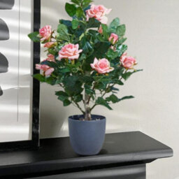 Marco Paul 60Cm Artificial Rose Plant Pink In Pot - thumbnail 8