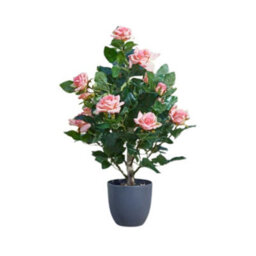Marco Paul 60Cm Artificial Rose Plant Pink In Pot - thumbnail 3