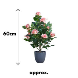 Marco Paul 60Cm Artificial Rose Plant Pink In Pot - thumbnail 2