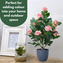 Marco Paul 60Cm Artificial Rose Plant Pink In Pot - thumbnail 7