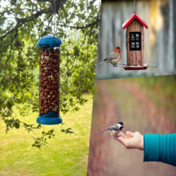 Pegdev - Pdl - Nt Range Kids Easyflip Peanut Feeder And Peanuts For Sparrow & Woodpeckers - 500G Tub - thumbnail 4