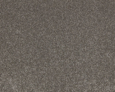 Soft Distinction Carpet By Remland (Cappuccino, 3M X 4M) - image 1