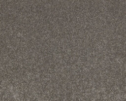 Soft Distinction Carpet By Remland (Cappuccino, 3M X 4M) - thumbnail 1