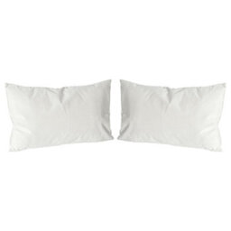 Nicola Spring Rectangle Velvet Cushions - 60Cm X 40Cm - Cream - Pack Of 2