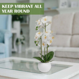Crystals Artificial Orchid Flower Display In Pot 60Cm White Realistic Home Party Decor - thumbnail 4