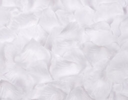 100 Best Artificial White Silk Rose Petals For Wedding Valentines