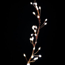 Samuel Alexander 800 Led 5.5M Premier Christmas Indoor Outdoor Multifunction Wire Cluster Lights With Timer In Cool White - thumbnail 2