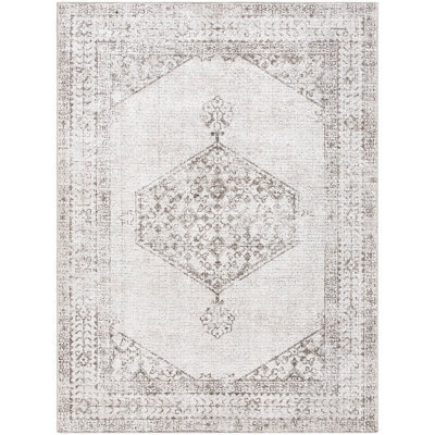 Livabliss Our Pnw Home Olympic-Vintage Beige Brown Traditional Boho Living Dining Bedroom Rug 160 X 213 Cm Easy Care, Non Shedding - image 1