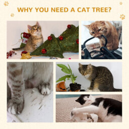 Pawhut 173Cm Cat Tower Scratching Post Activity Centre For Indoor Cream - thumbnail 7