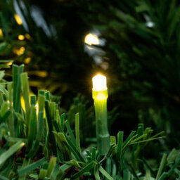 Christmas Tree World The Pre-Lit 2.6M Vanda Verde Fir Christmas Tree - thumbnail 4
