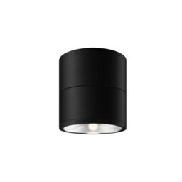 Luminosa Lighting Luminosa Spin Outdoor Surface Mounted Downlight Graphite 3000K 1050Lm Ip54