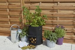 Verve Round Polypropylene Planter 45L (W)36Cm - thumbnail 3