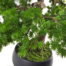 Leaf 50Cm Luxury Artificial  Pine Bonsai Tree - thumbnail 4