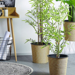 Beliani 100Cm Artificial Potted Bamboo Plant - Indoor Greenery With Cement Planter And Moss Finish - thumbnail 2