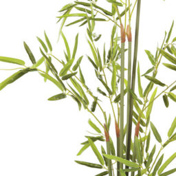 Beliani 100Cm Artificial Potted Bamboo Plant - Indoor Greenery With Cement Planter And Moss Finish - thumbnail 3