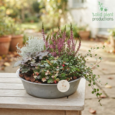 Autumn Plant Arrangement In Zinc Bowl - 30Cm - image 1