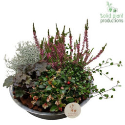 Autumn Plant Arrangement In Zinc Bowl - 30Cm - thumbnail 2