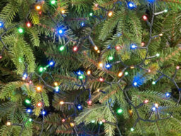 Festive Sparkle Lights - Multicolour - 2000 Led Lights - thumbnail 2