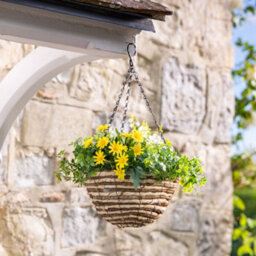 Christow Artificial Daisy Wicker Hanging Basket Uv Resistant Foliage Yellow 25Cm - thumbnail 5