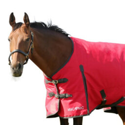 "Hyconic Standard-Neck 100G Horse Turnout Rug Red/charcoal (5 6"")" - thumbnail 2