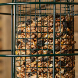 Samuel Alexander Pack Of 6 Wild Bird Hanging Nut Feeder With Squirrel Guard - thumbnail 8