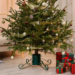 Holly International Traditional Metal Scroll Leg Christmas Tree Stand Green Large For Real Trees Up To 3M - thumbnail 2
