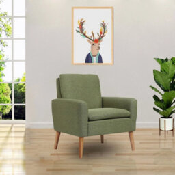 Accent Armchairs Single Sofa Upholstered Fabric Arm Chair Living Room Furniture - thumbnail 4