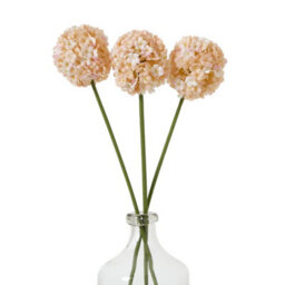 Hill Interiors The Natural Garden Collection Allium Artificial Flower Apricot/white (One Size) - thumbnail 3
