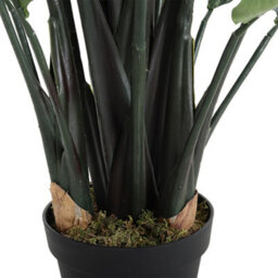 Living And Home Artificial Plant Fake Potted Bird Of Paradise Palm Tree In Black Pot 180 Cm - thumbnail 5