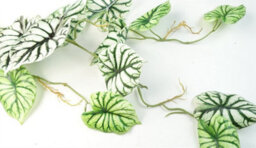 Leaf 6 X 120Cm Artificial Hanging Trailing Plant Alocasia Dragon Scale Light - thumbnail 3