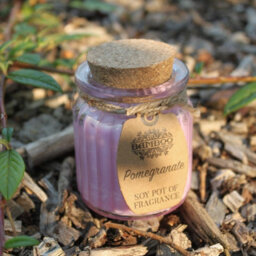 Pomegranate Soy Pot Of Fragrance Candles - thumbnail 5