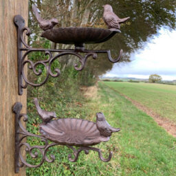 Selections Cast Iron Wall Mounted Hanging Basket Bracket With Bird Feeder Bath Decorative Seed And Nut - Pack Of 2
