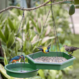 Geezy Bird Feeder & Bird Bath 2 In 1 Hanging Bird Feeding Tray And Bath Outdoor - thumbnail 8